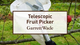 Fruit Picker Tool  Telescoping Fruit Picker by Garrett Wade