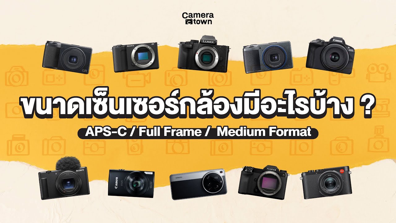 ขนาดเซ็นเซอร์กล้องมีอะไรบ้าง ? |  APS-C vs Full Frame vs Medium Format ต่างกันยังไง ?