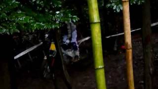 千葉県大会5secＮ田