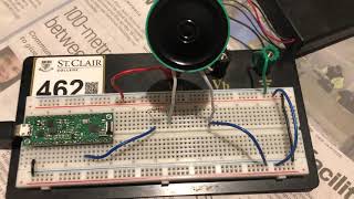 Celebrity Microcontroller Lab 8- Sound Profile