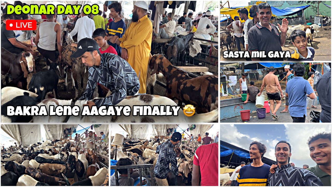 DEONAR BAKRA MANDI 2025 DAY 08 LATEST UPDATE || BAKRO KA BHAAV🙆‍♂️ || ZAID ANSARI VLOGE 