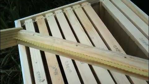 Using foundationless frames in a beehive