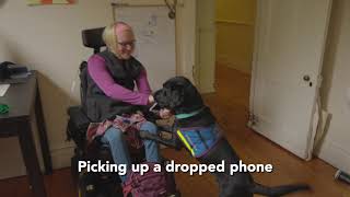 Meet Cozie, the 'Pawesome' Assistance Dog