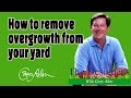 How to Remove Overgrowth from a yard Designers Landscape#614