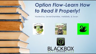 Option Flow-Learn How to Read It Properly
