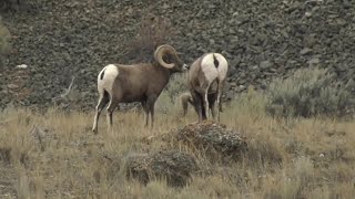 Montana FWP ready for changes to Habitat Montana program funding