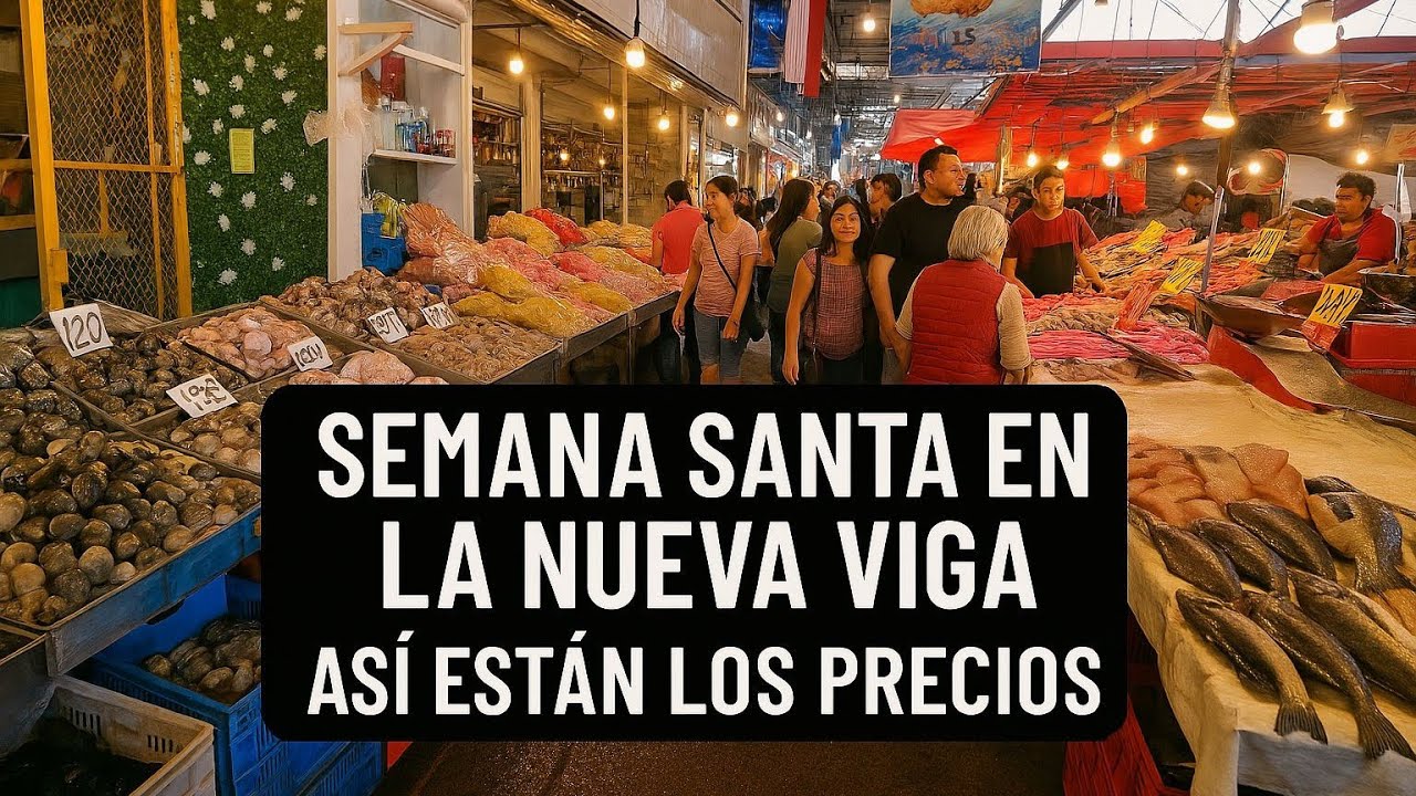 CHECANDO Los Precios!!!! En La Nueva Viga 🐠| Miguelocon69