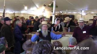 Gordonville Mud Sale & Auction
