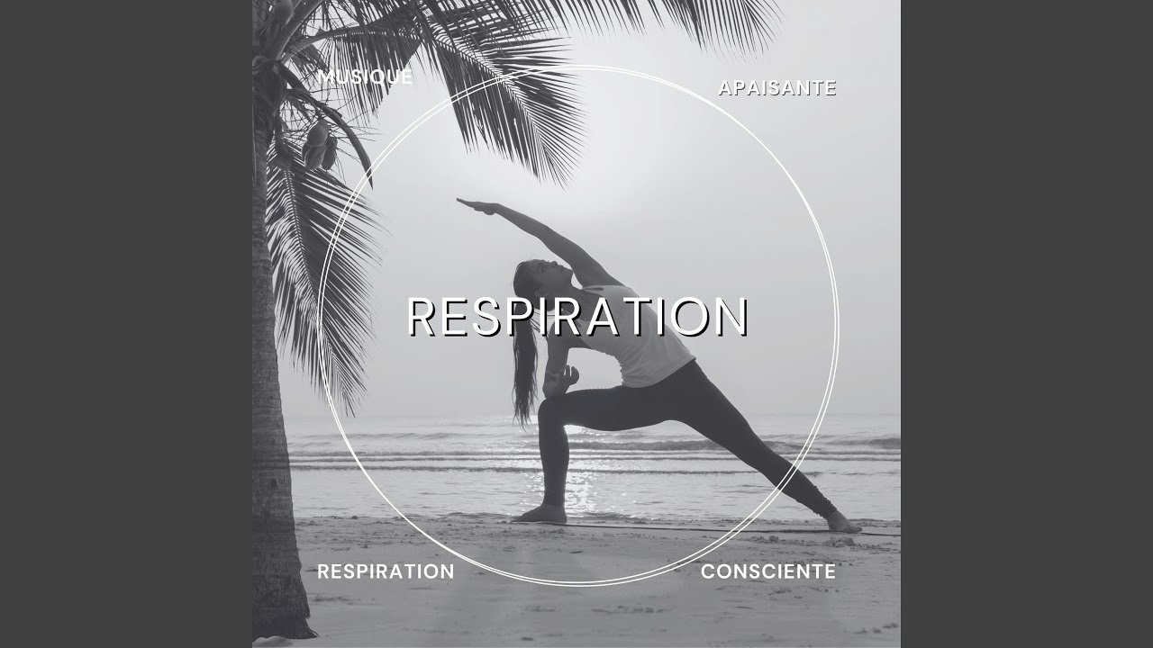 Musique d'ambiance pour yoga et méditation - YouTube Music