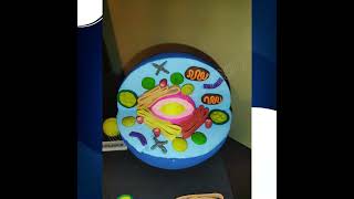 Célula eucariota #maqueta #biologia