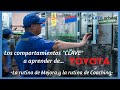 Los comportamientos a copiar de TOYOTA