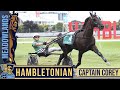 2021 Hambletonian - Captain Corey