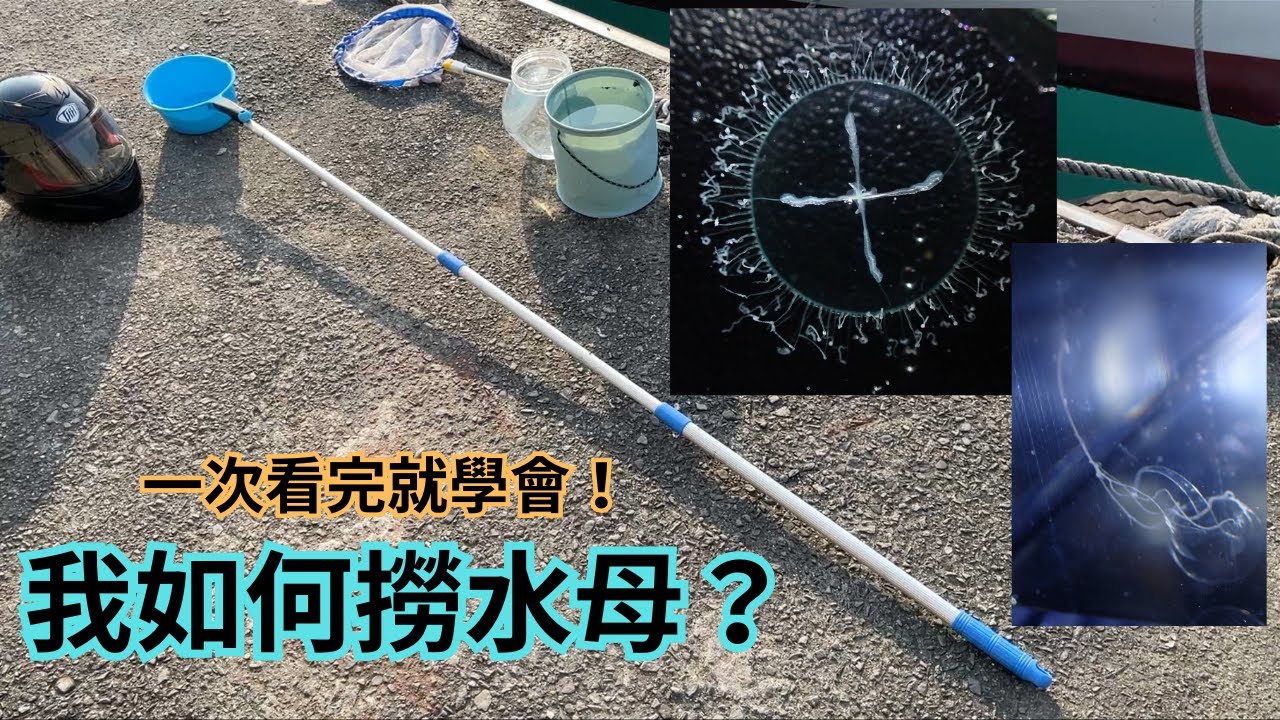 一次看完就學會！我如何撈水母？