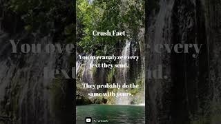 Reading Between the Digital Lines: Decoding Text Messages