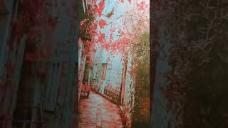 Fikrimden geceler ( COVER )