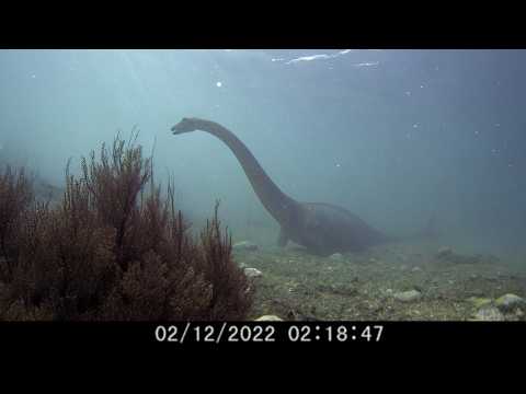 60 Extinct Sea Animals Caught ALIVE On Camera 