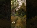 Spend some time alone #music #lofi #chill #relax
