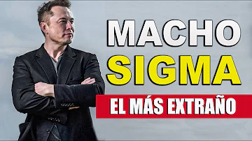 ¿Qué es la personalidad sigma?