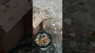 Ayaş Çanıllı Turna Av