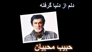Video thumbnail of "Habib: Donya حبیب آهنگ دنیا"