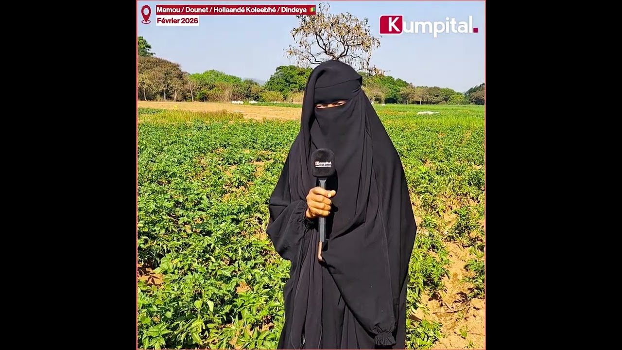 Mamou 🇬🇳 : Immersion dans les sites agricoles de Dindéya