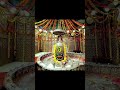 Mahakaal Bholenath Ujjain Wale #mahadev #jaimahakal #bhajan #bhakti #trending #viral #youtubeshorts