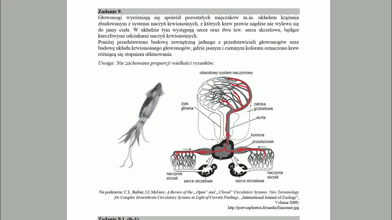 Sprawdzian Z Biologii świat Bezkręgowców Grupa B www.youtube.com