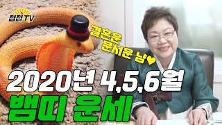 (서울점집) 2020년 4,5,6월 뱀띠운세!!! [점점tv]