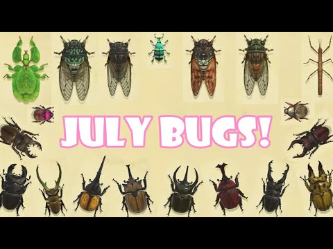 All The Bugs You Can Catch In JULY In Animal Crossing New Horizons ...