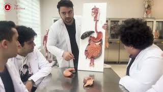 Tıp Fakültesi