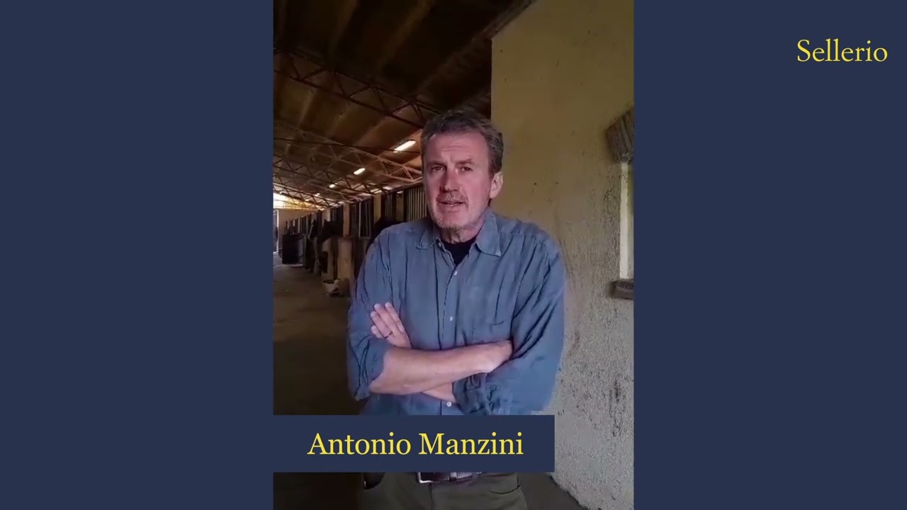 Intervista a Antonio Manzini