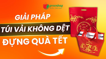 Túi vải không dệt đựng quà Tết – lựa chọn được nhiều doanh nghiệp ưu ái mỗi dịp năm mới.