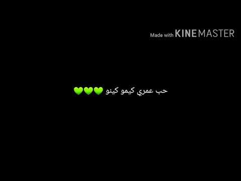 حاله واتس حب عمري كيمو كينو شاشه سوداء