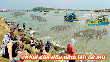Câu Cá Mú Khủng Ở Kè Biên Phòng Lagi Bình Thuận| Cá Ăn Mồi Tôm Sống Khai Cần Đầu Năm !