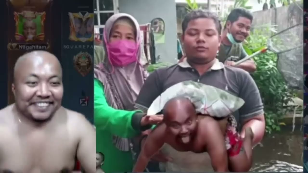 Mediashare Pascol kocak 