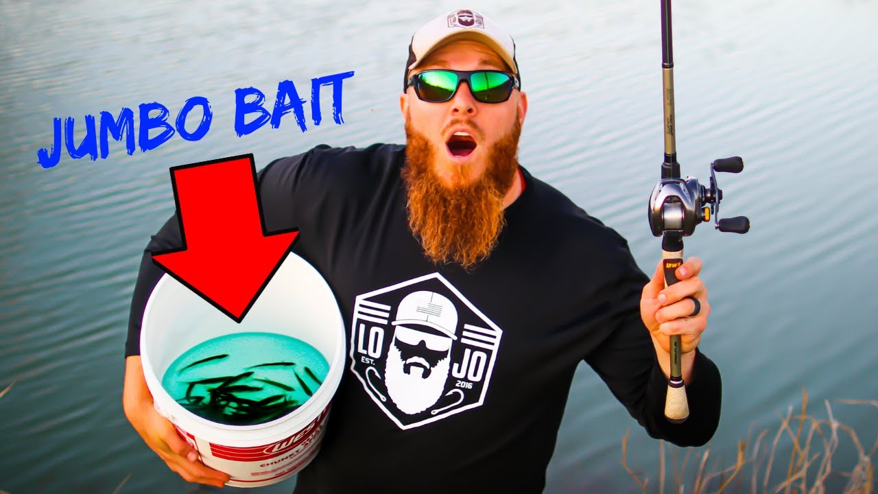 Fishing for Pond Bass w/ JUMBO Live Bait (Shiners & Minnows)