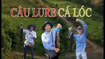 Câu cá Lóc rừng U Minh và màn trả thù đầy hoàn hảo với 4 con cá lóc bự chà bá