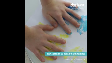 From womb to tomb: tackling diseases by knowing the surrounding influences