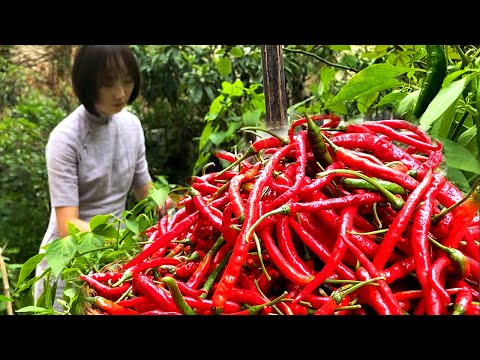 Video: How To Make Spicy Sauce From Regular Foods