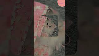 Lirik lagu ๐ถ apaci apacu ๐๐ป #fypใทใviral Lirik lagu ๐ถ apaci apacu ๐๐ป #fypใทใviral