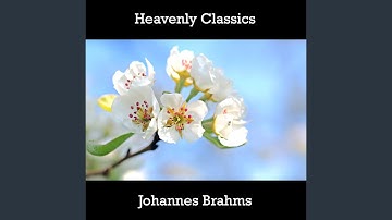 Johannes Brahms - 16 Waltzes, Op.39 - No.16 in C#-