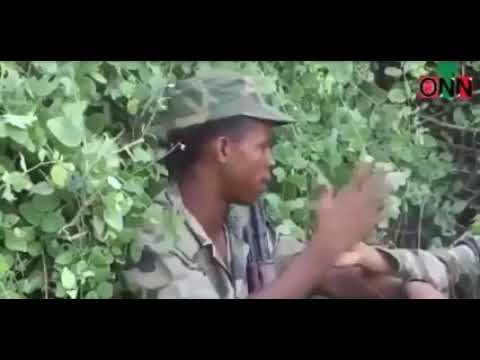 Walaloo Aja Ibaa Loltuu Bilisummaa Oromoo WBO