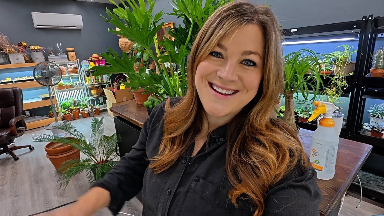 Potting Houseplants! 🪴 Sago & Ponytail Palm, Haworthia, Fern & a Huge Philodendron! 💚