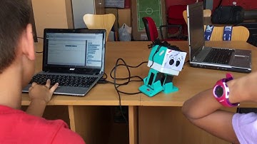 Programant zowi des de Bitbloq