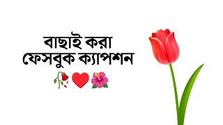 Some amazing short Facebook status🌺 || New Facebook Status #status Some amazing short Facebook status🌺 || New Facebook Status #status
