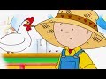 ✩★ Caillou Magyar | epizódok speciális összeállítás | Caillou szezon 01 | Rajzfilmek gyerekeknek ✩★