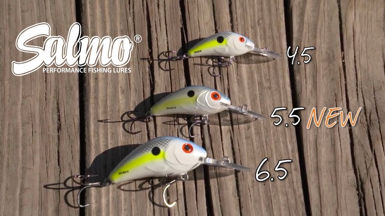 Salmo Hard Lures Rattlin Hornet Shallow - Lures crankbaits