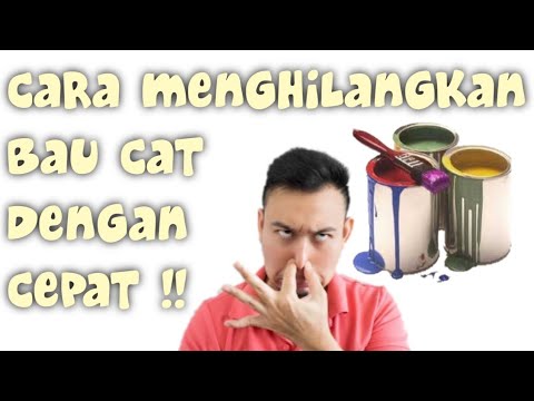 Video: Bagaimana Menghilangkan Static Shocking pada Kucing