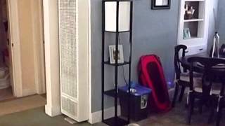 1315 2nd St video tour