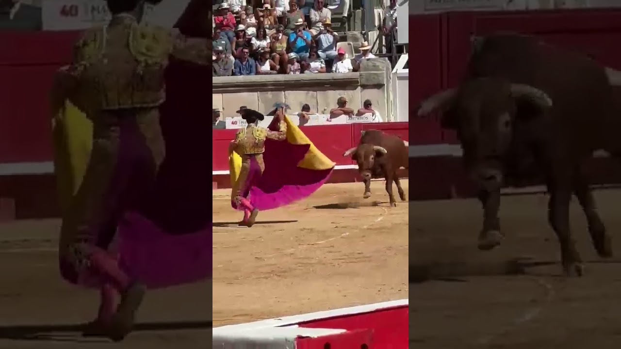 La dramática portagayola de Marco Pérez al quinto de El Pilar en Nimes, con una espera emocionante
